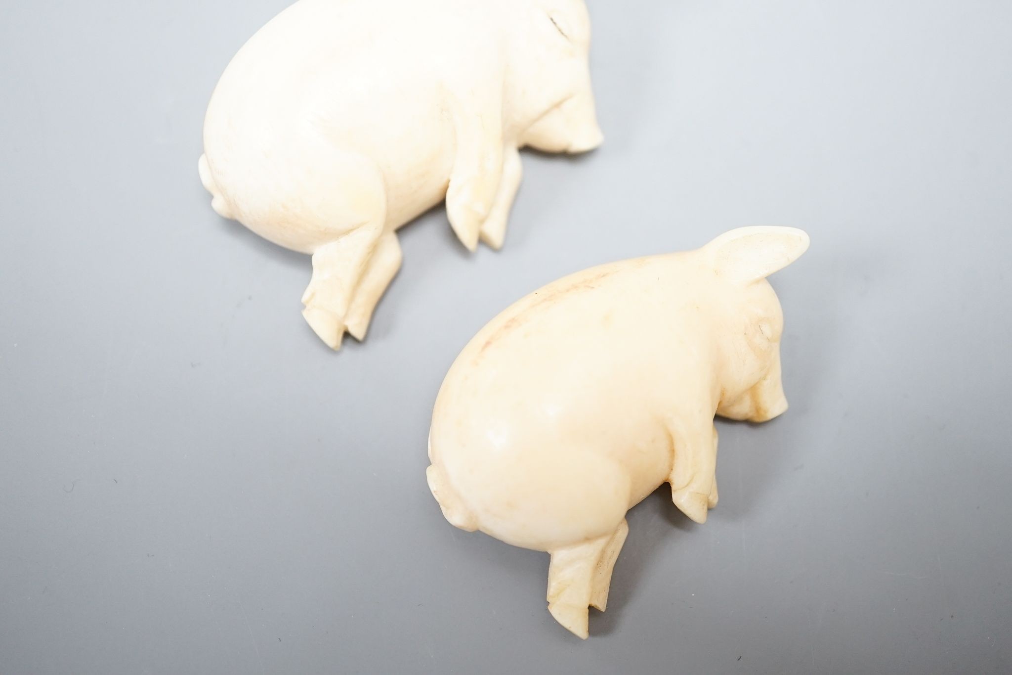 Two ivory sleeping pigs., 5 cms wide